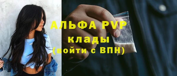 стафф Кинешма
