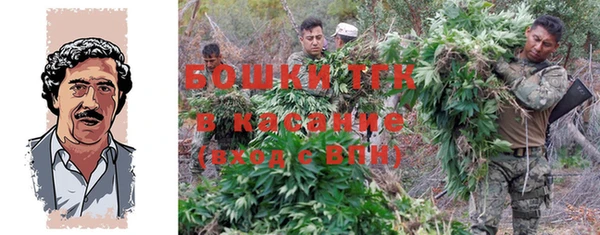 стафф Кинешма