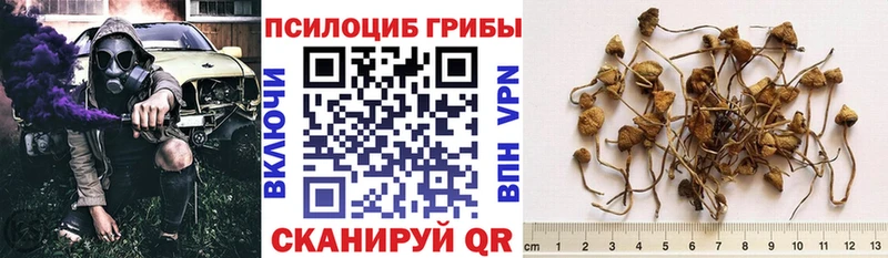Псилоцибиновые грибы Magic Shrooms  Купить  Белая Калитва 